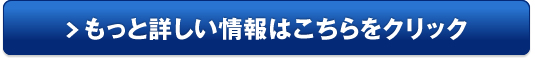 お小遣い稼ぎに「治験モニター」販売サイトへ